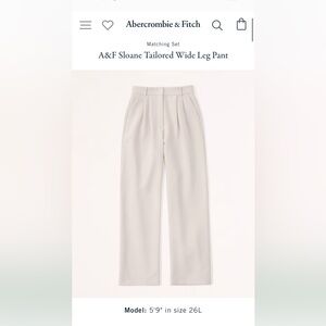 Abercrombie Sloan tailored pant size 6/28 light taupe